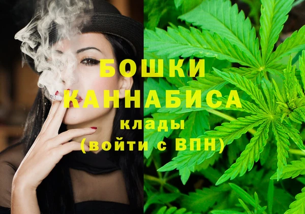 трава Верея