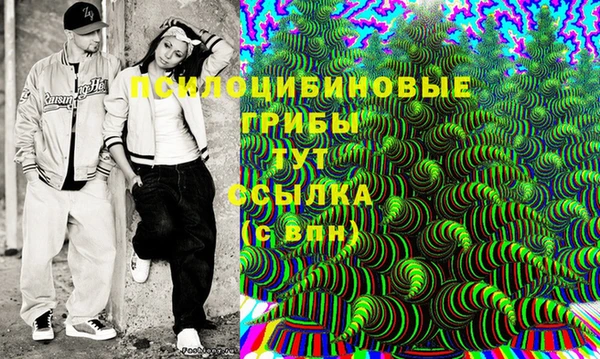 трава Верея