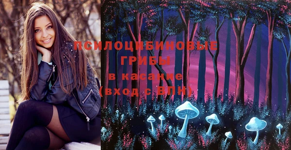трава Верея